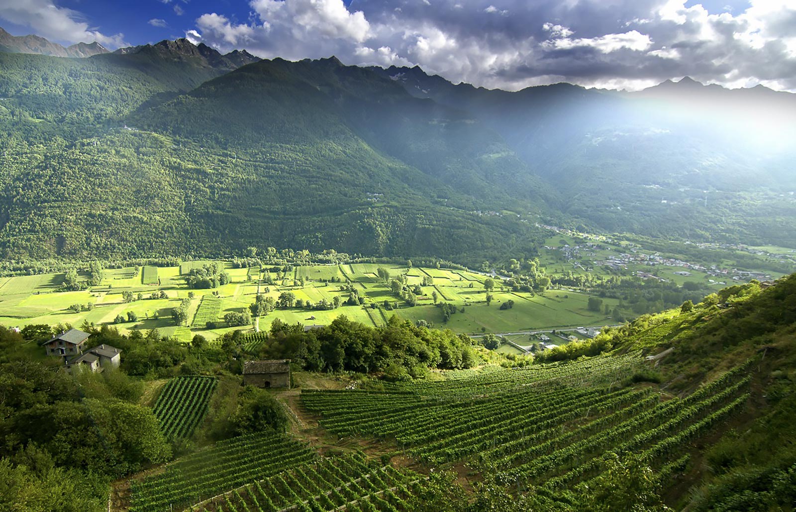 Vista sulla verde Valtellina in un giorno di sole