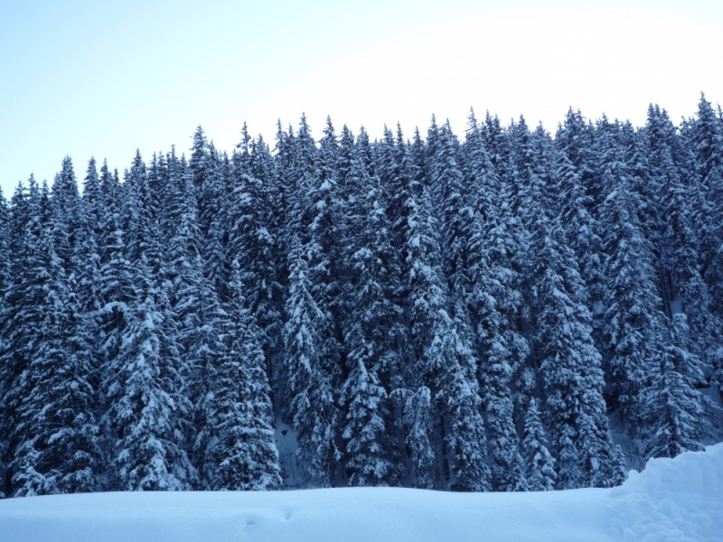 My snow happiness